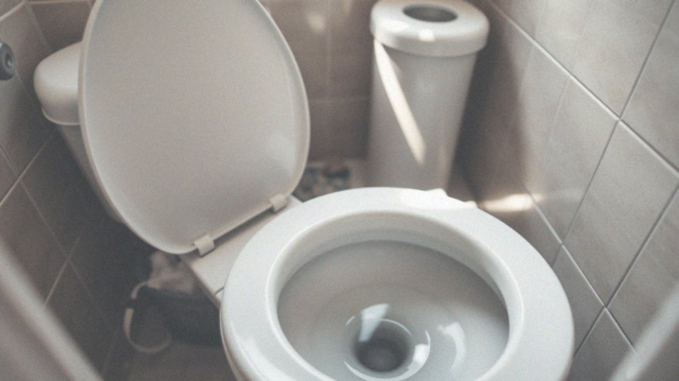 Jakie są najczęstsze przyczyny zapychania toalety?