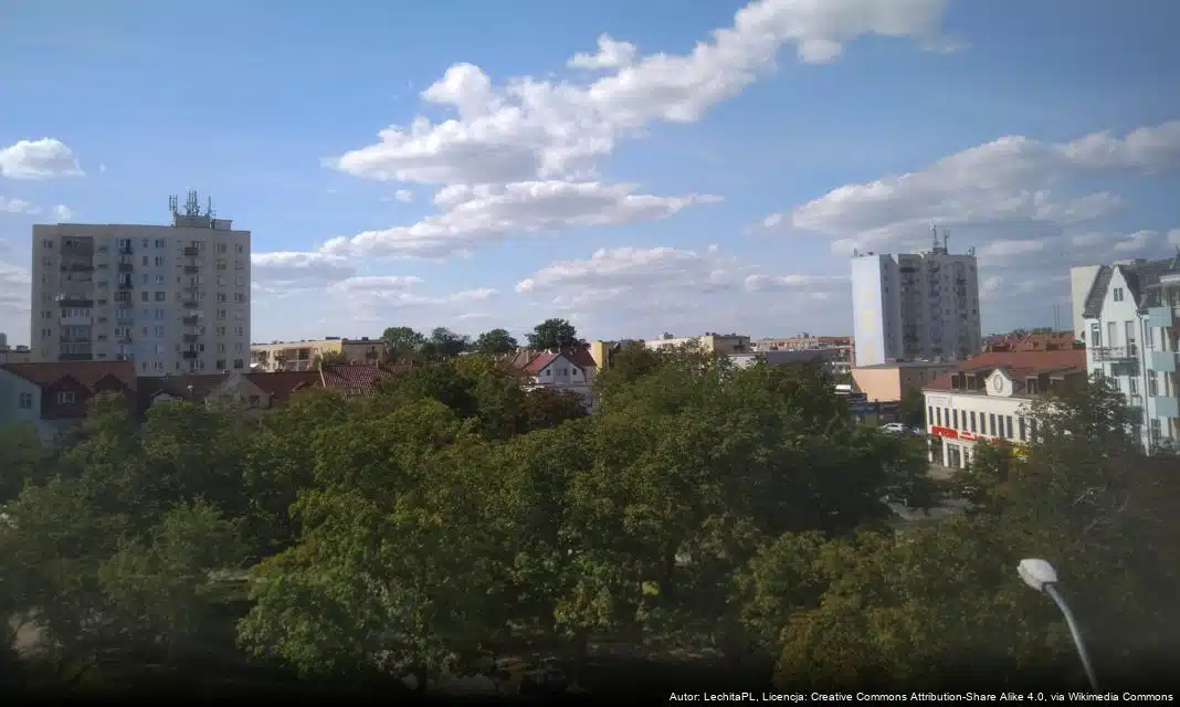 Lisów z nową platformą lęgową dla bociana białego