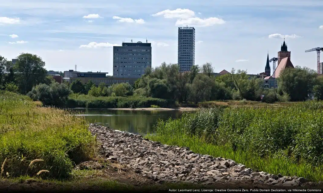 Walka z nielegalnym zaśmiecaniem Słubic – nowe działania straży miejskiej